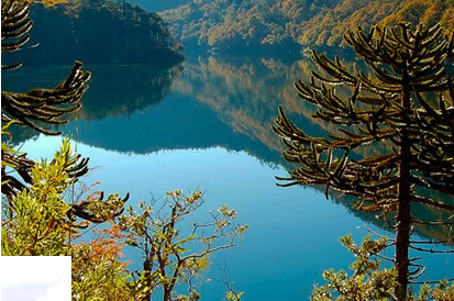 Araucania Verde