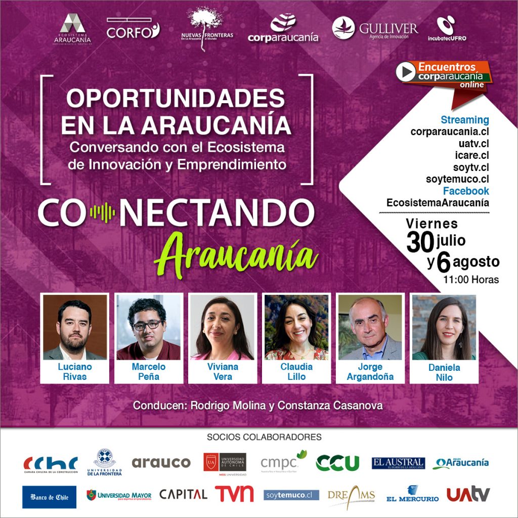 Conectando_Araucanía